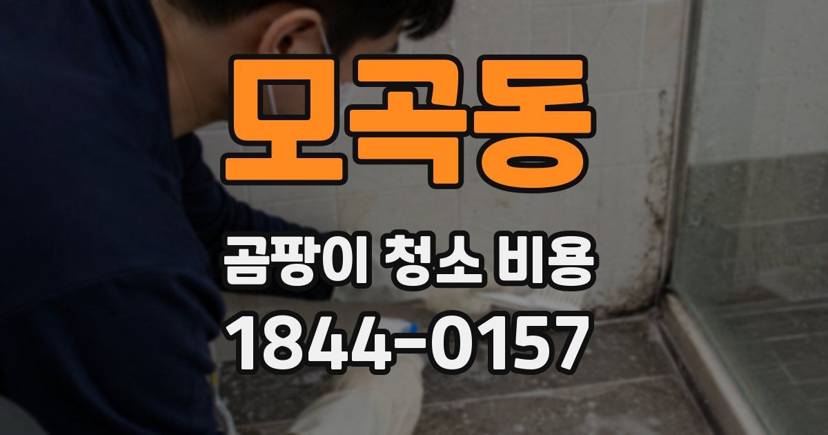 모곡동 곰팡이 청소 비용