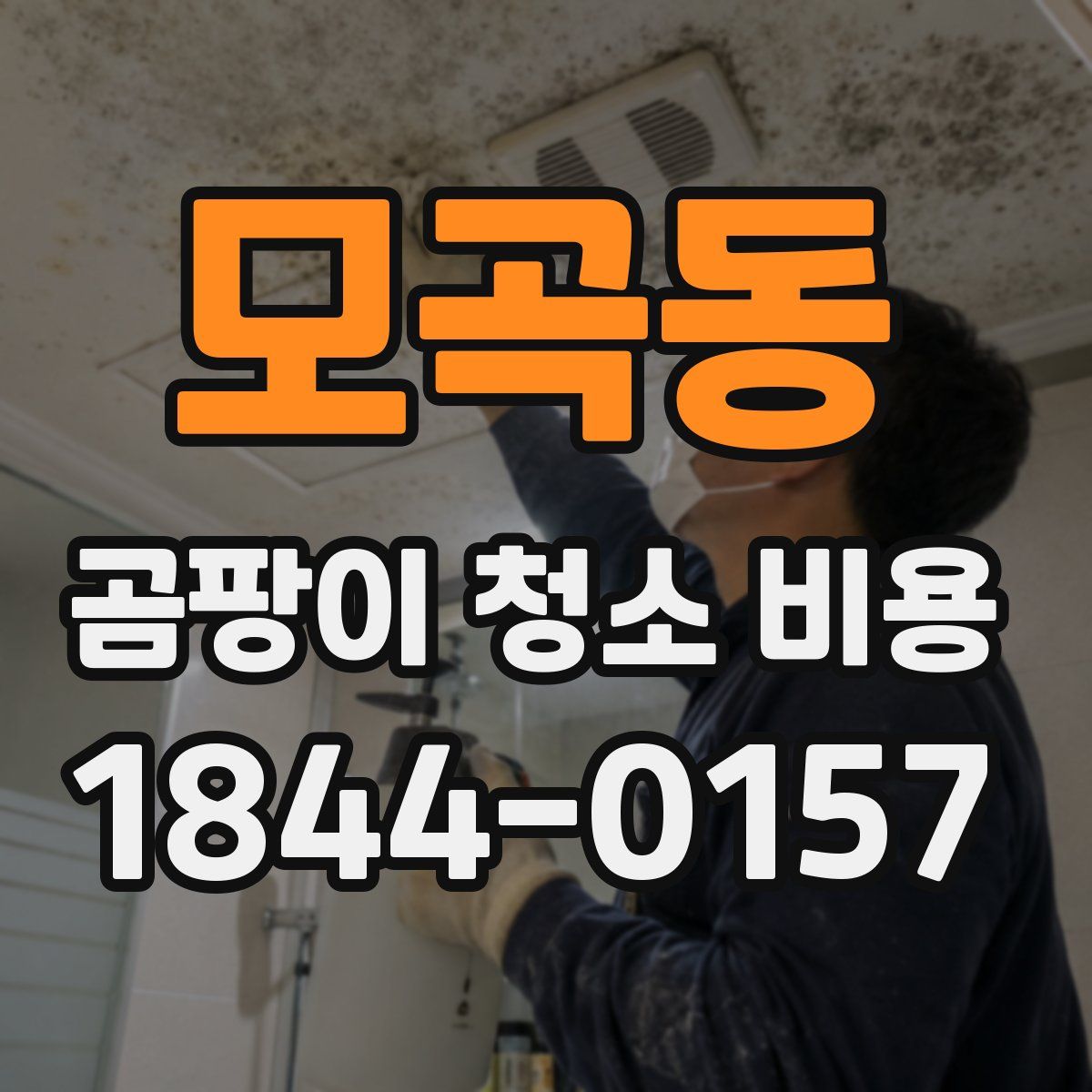 모곡동 곰팡이 청소 비용
