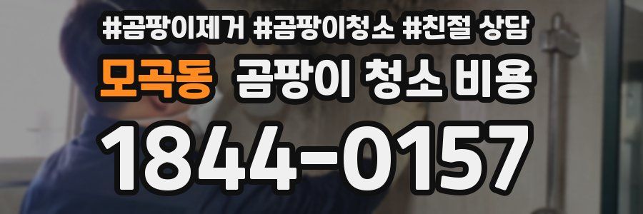모곡동 곰팡이 청소 비용