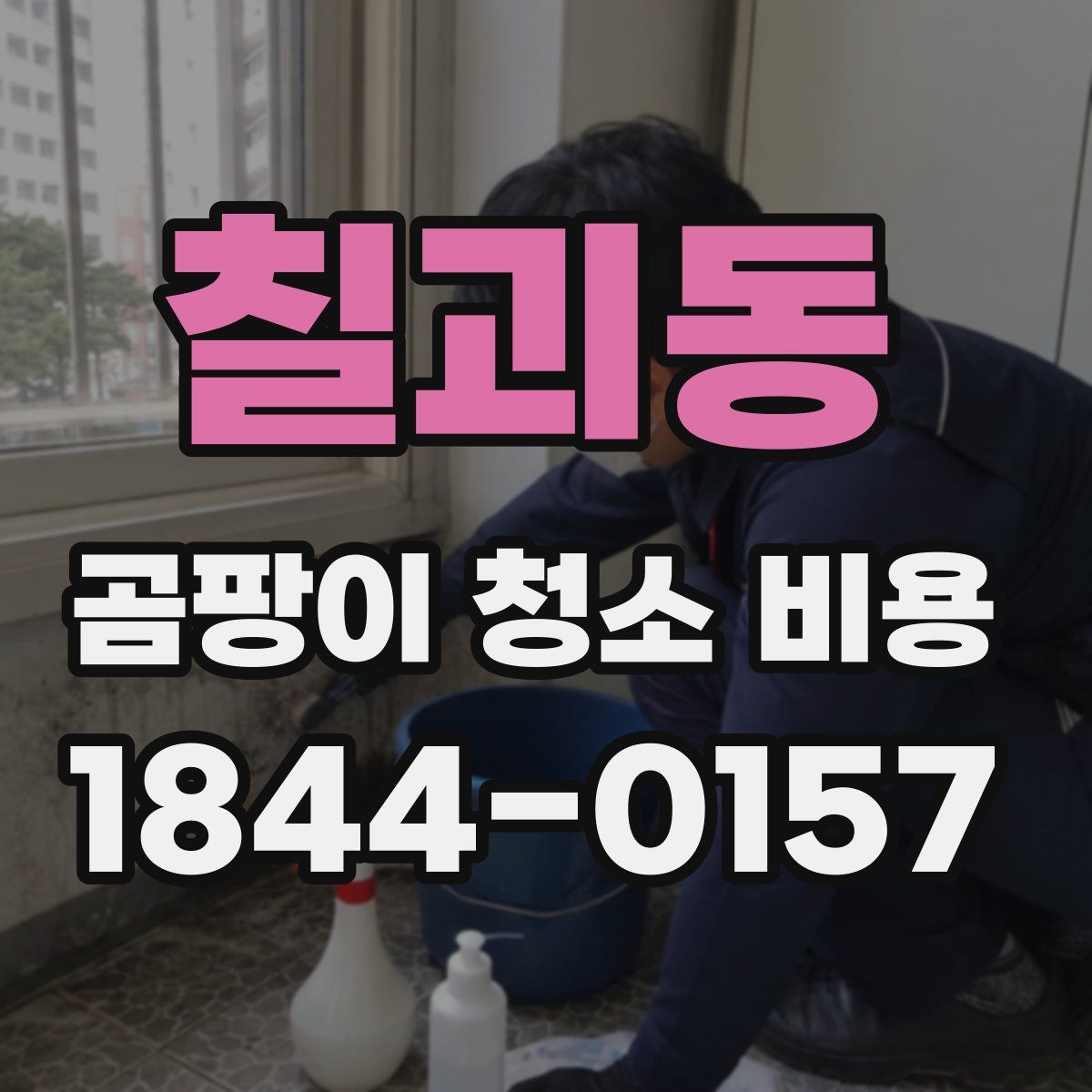 칠괴동 곰팡이 청소 비용