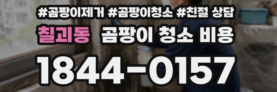 칠괴동 곰팡이 청소 비용