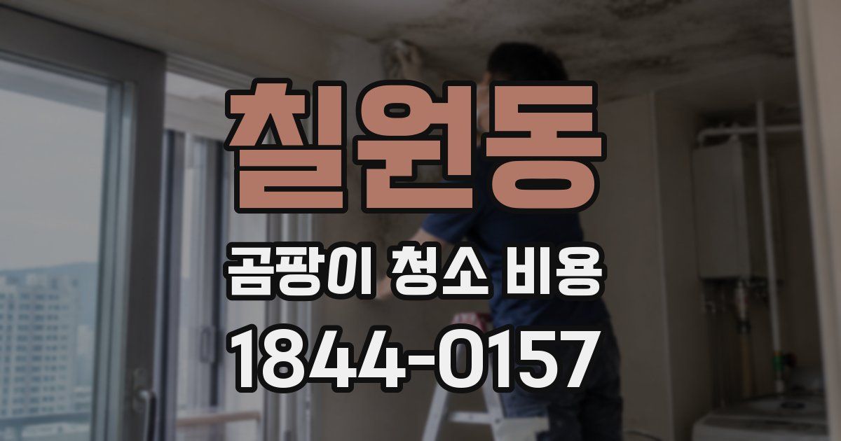 칠원동 곰팡이 청소 비용