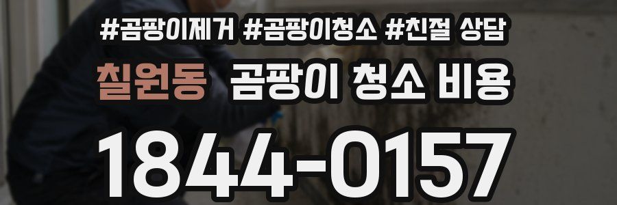 칠원동 곰팡이 청소 비용