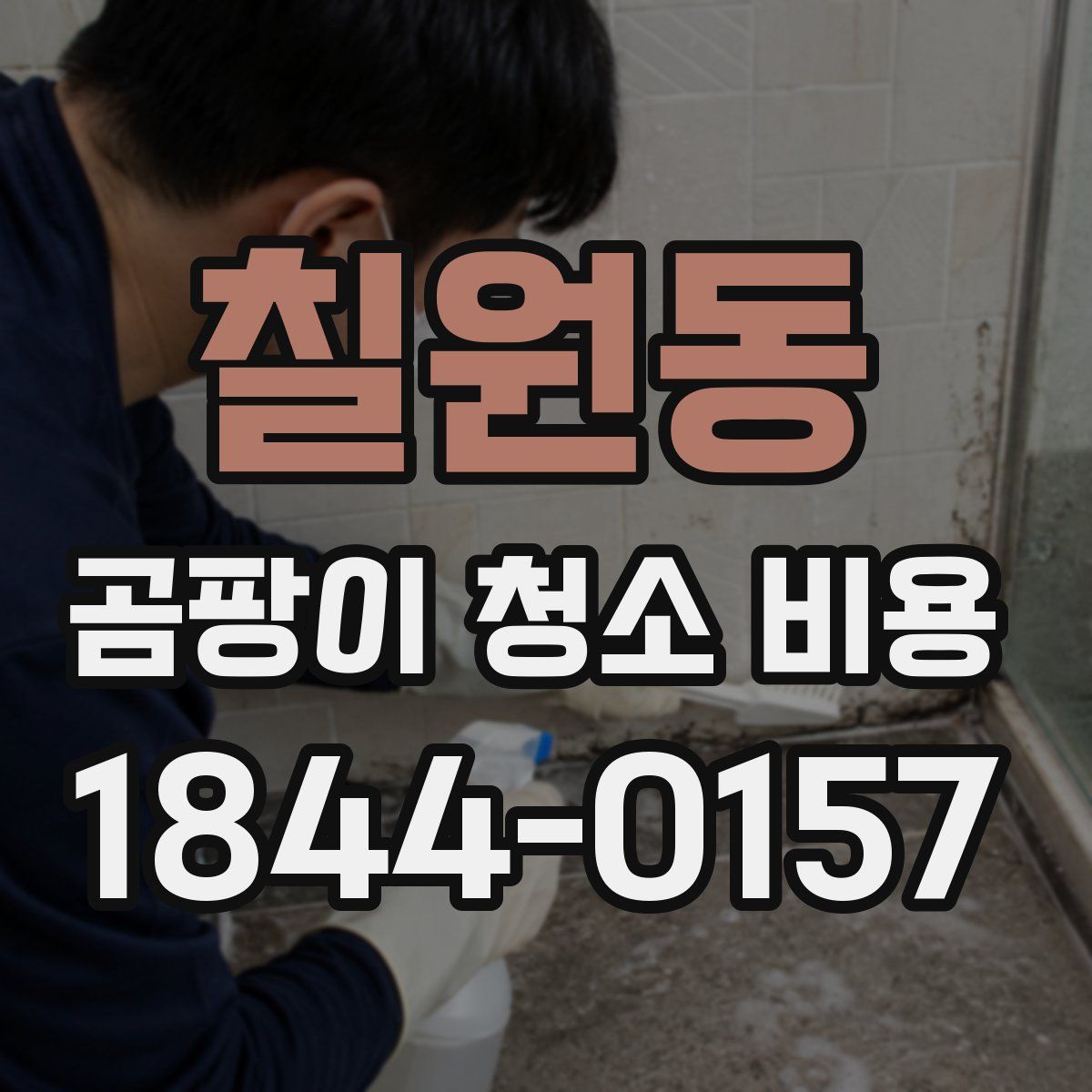 칠원동 곰팡이 청소 비용