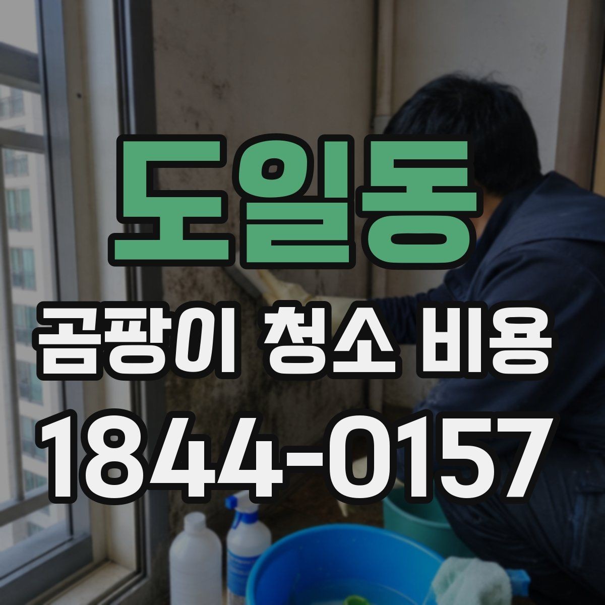도일동 곰팡이 청소 비용 산정에 필요한 현장 정보 모음