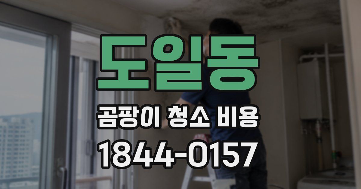 도일동 곰팡이 청소 비용