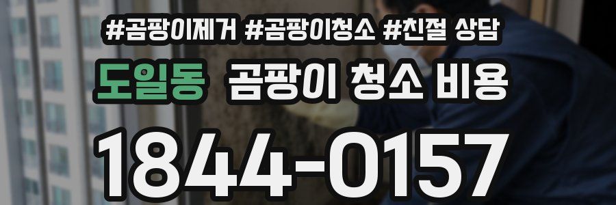 도일동 곰팡이 청소 비용