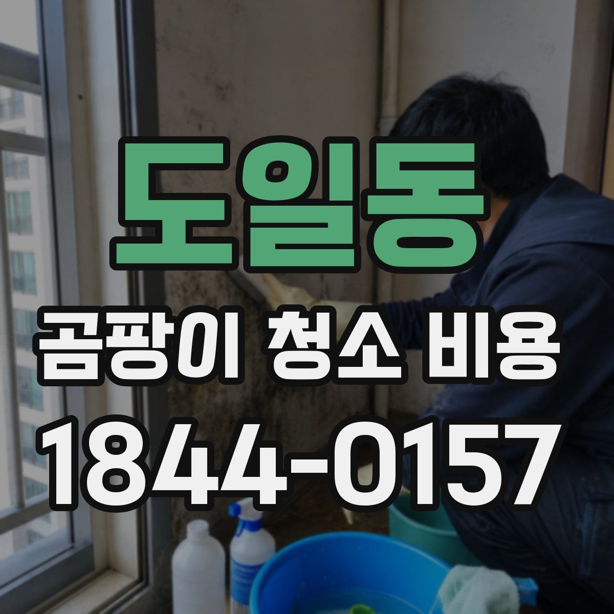 도일동 곰팡이 청소 비용