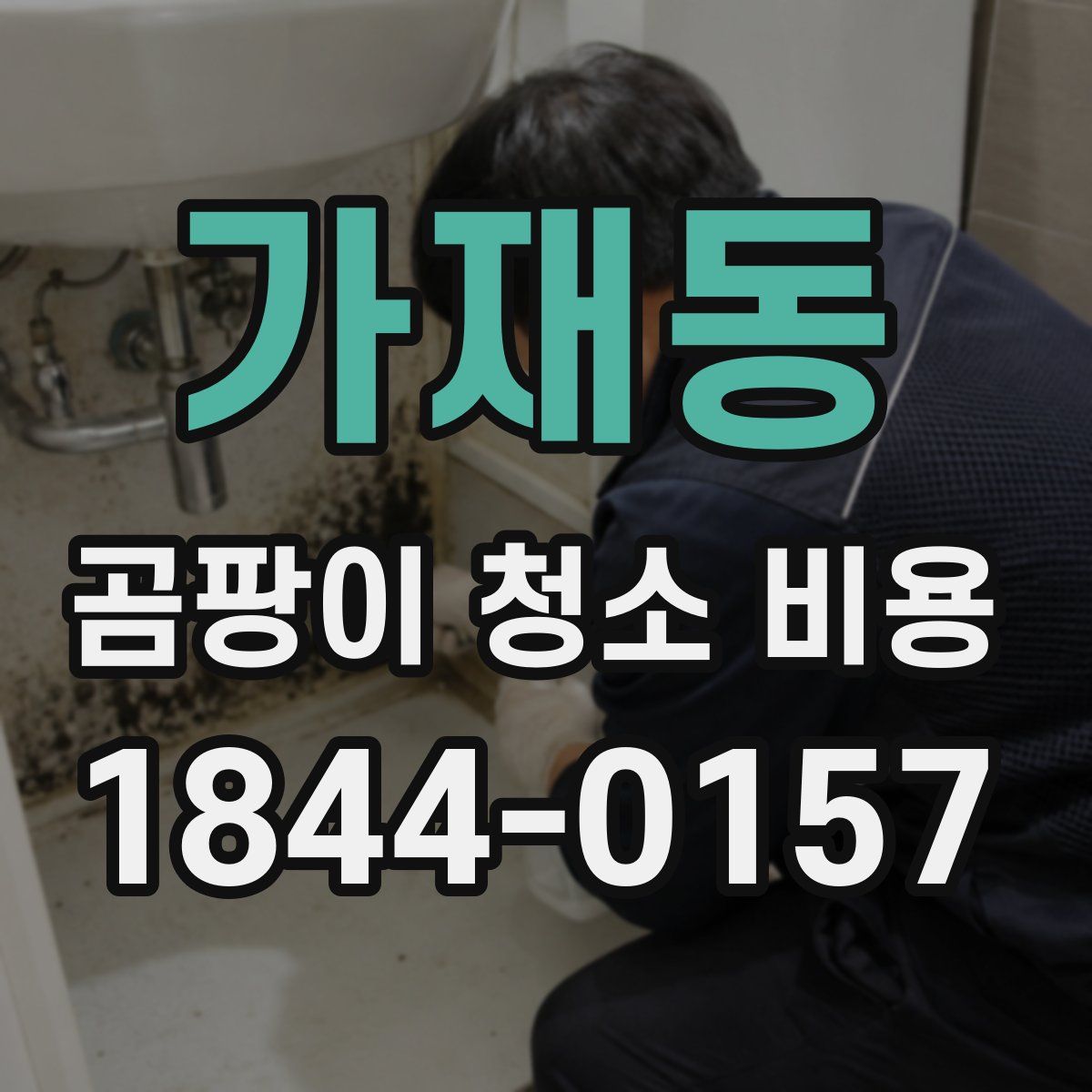 가재동 곰팡이 청소 비용