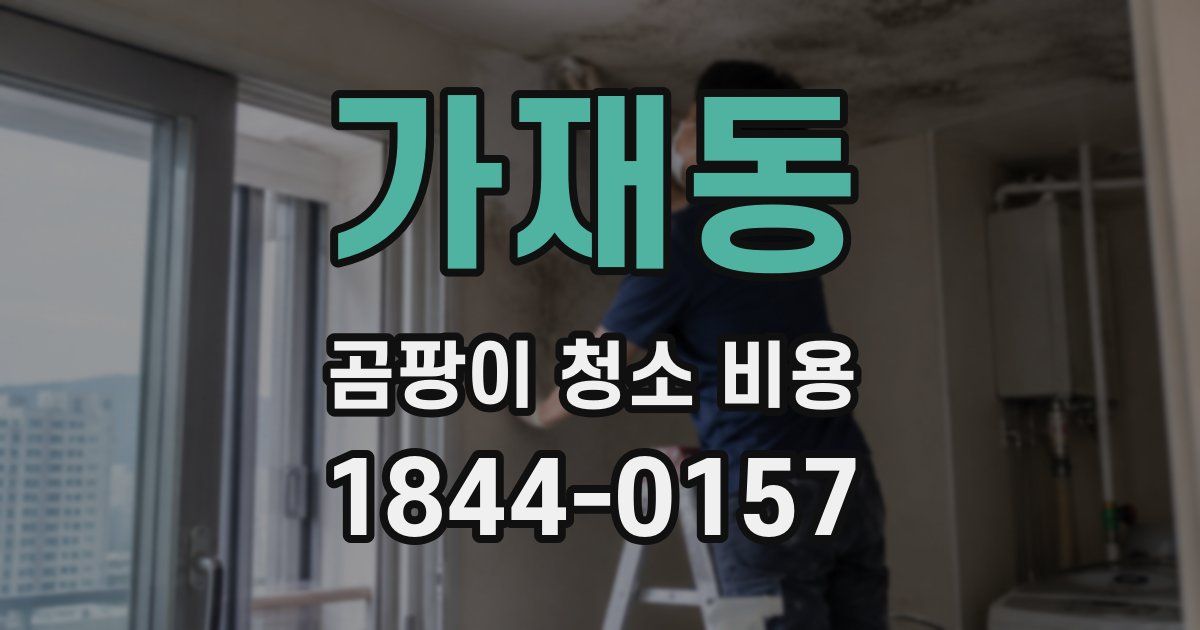 가재동 곰팡이 청소 비용