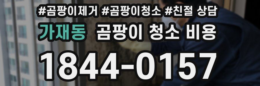 가재동 곰팡이 청소 비용