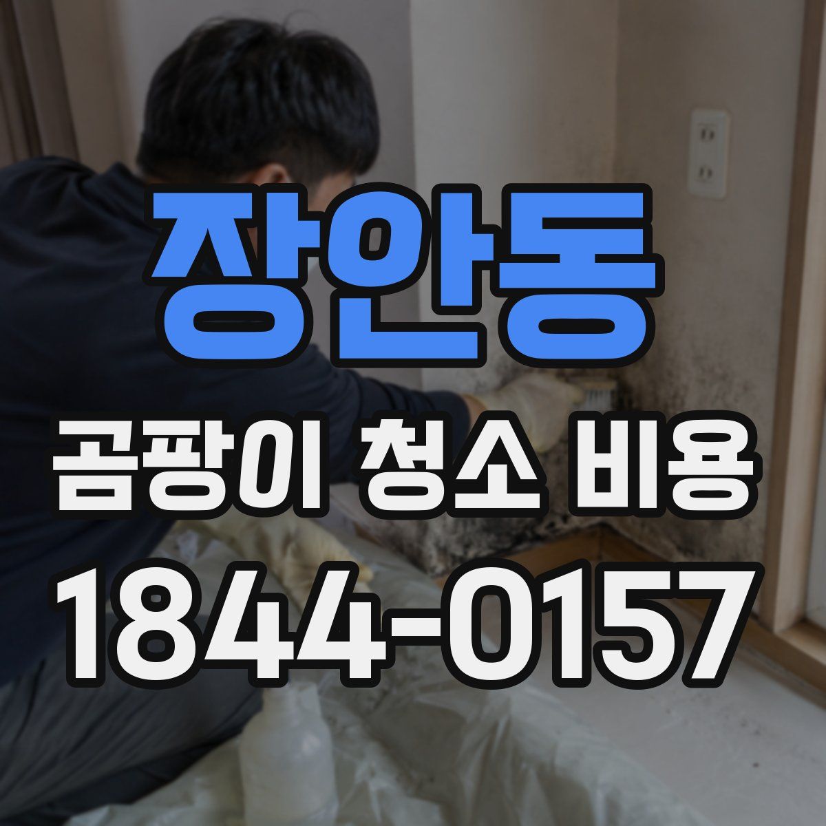 장안동 곰팡이 청소 비용