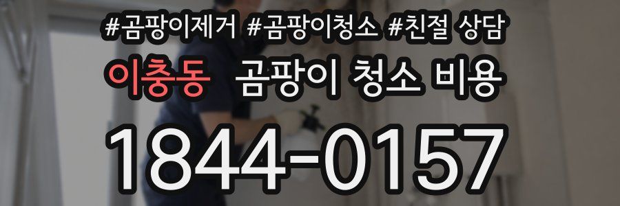 이충동 곰팡이 청소 비용