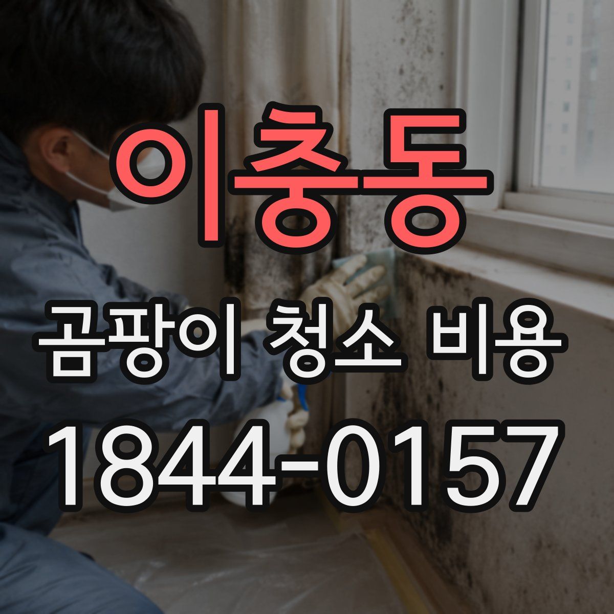 이충동 곰팡이 청소 비용