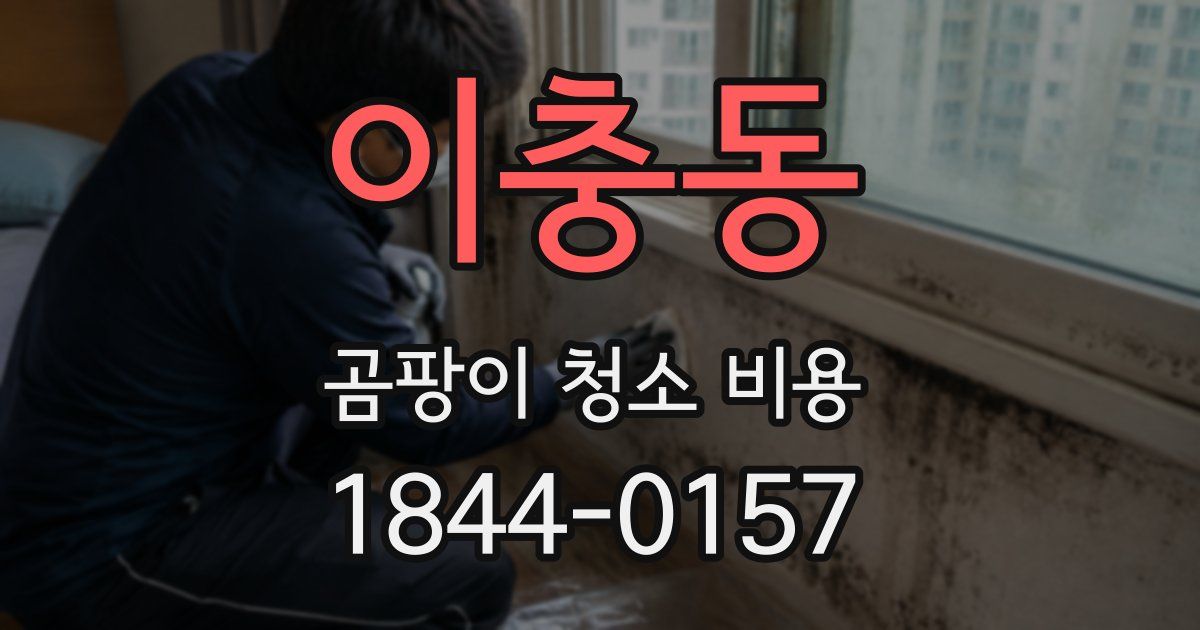 이충동 곰팡이 청소 비용