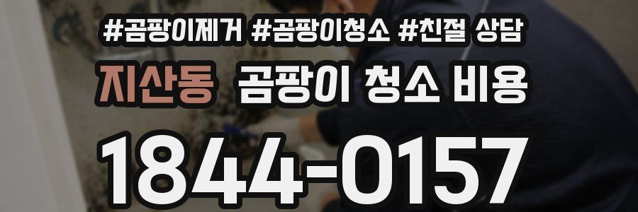 지산동 곰팡이 청소 비용