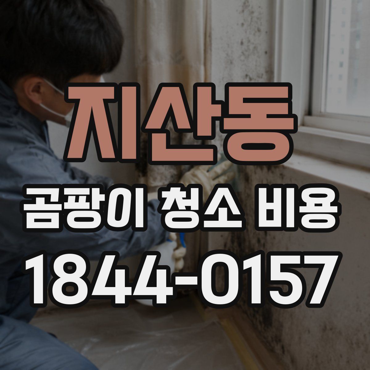 지산동 곰팡이 청소 비용