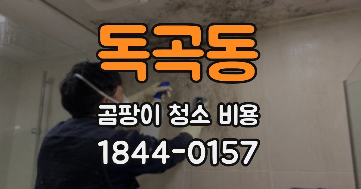 독곡동 곰팡이 청소 비용