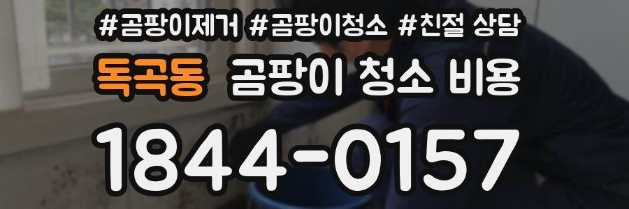 독곡동 곰팡이 청소 비용
