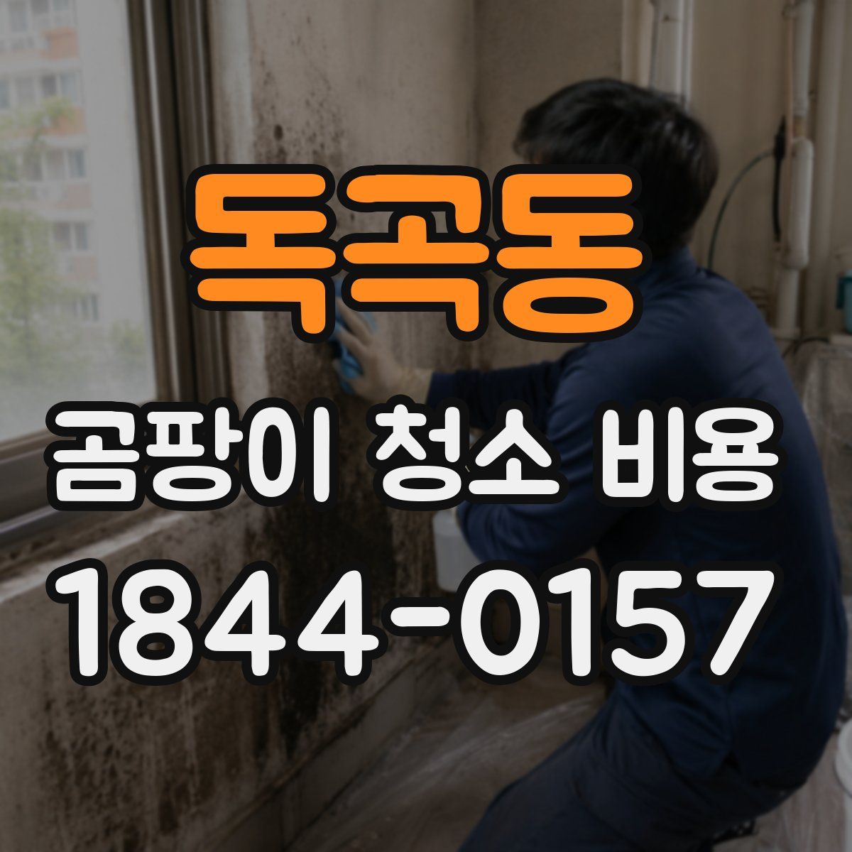 독곡동 곰팡이 청소 비용