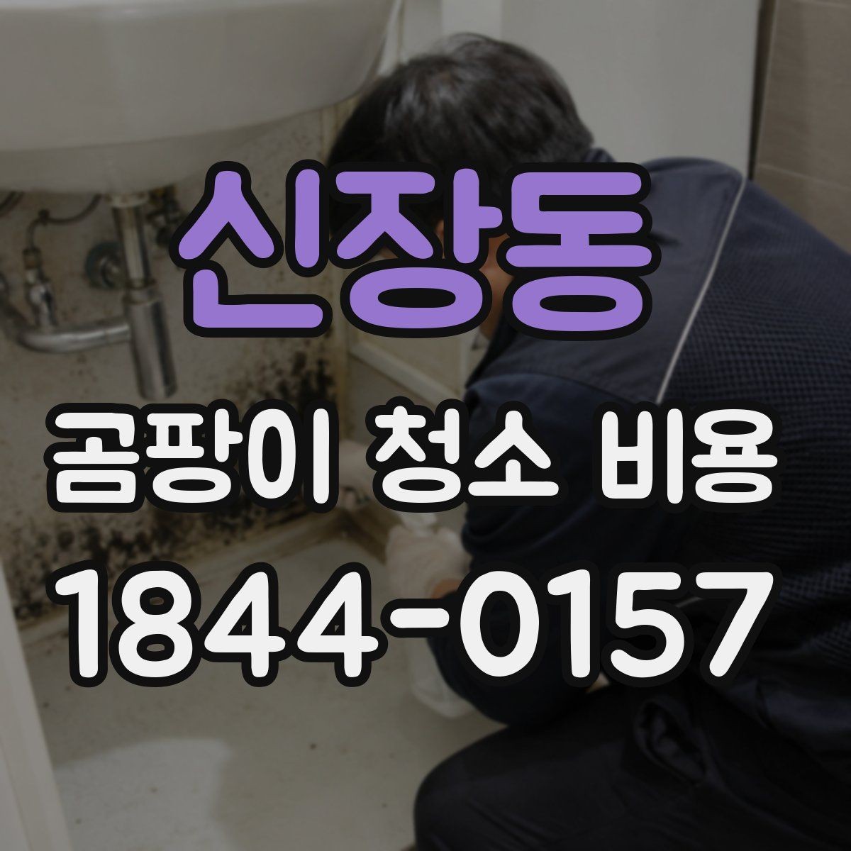 신장동 곰팡이 청소 비용 문의 전에 알아두는 견적 팁