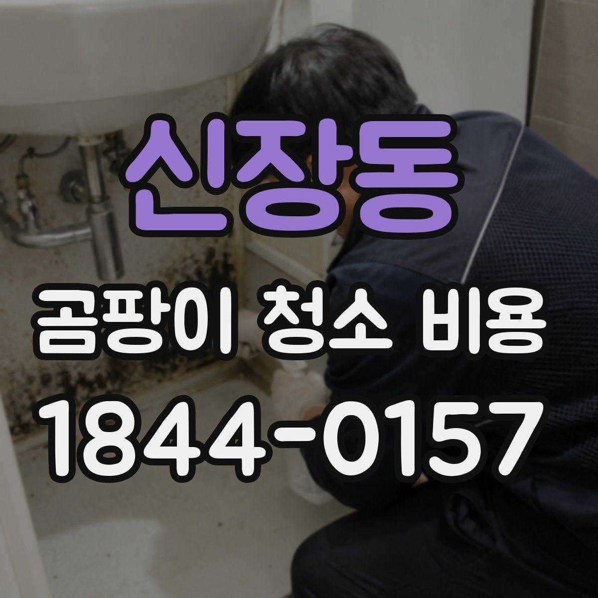 신장동 곰팡이 청소 비용