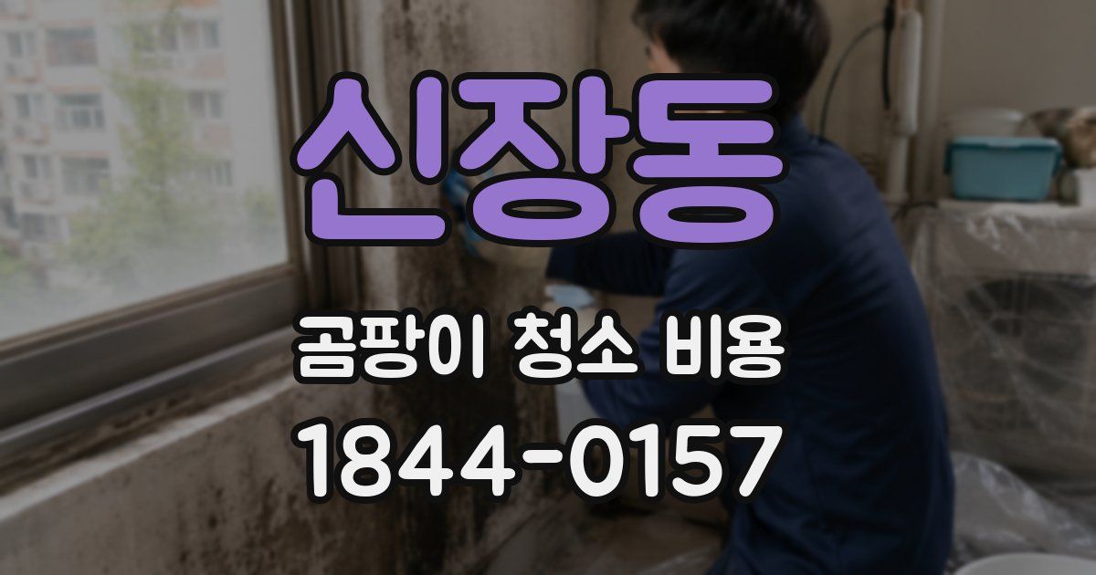 신장동 곰팡이 청소 비용