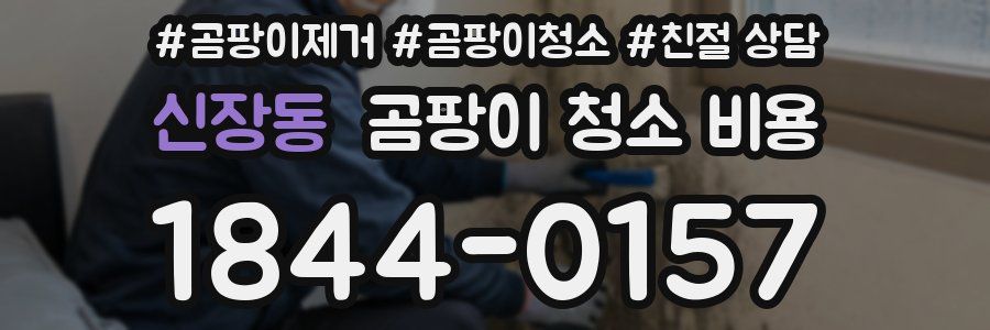 신장동 곰팡이 청소 비용