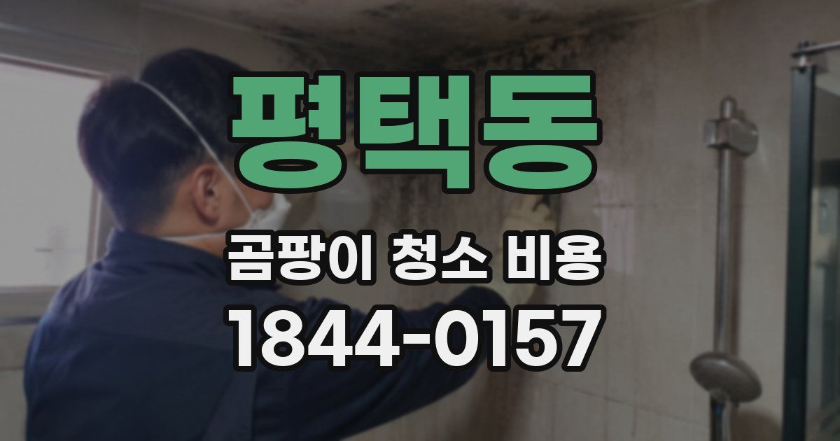 평택동 곰팡이 청소 비용