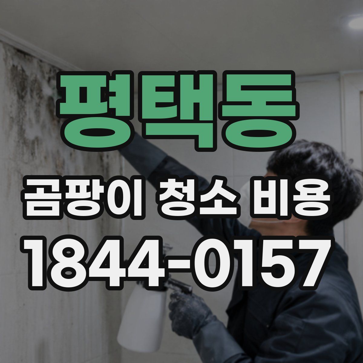 평택동 곰팡이 청소 비용