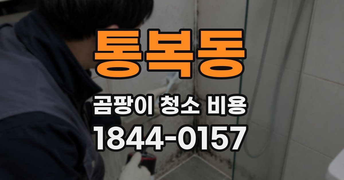 통복동 곰팡이 청소 비용