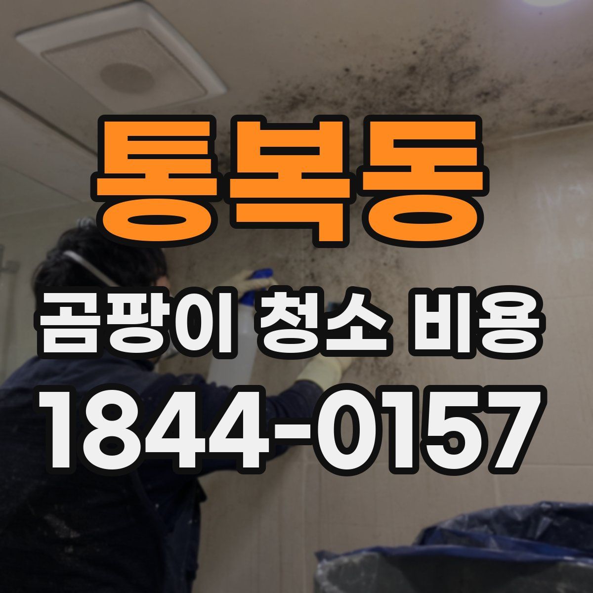 통복동 곰팡이 청소 비용