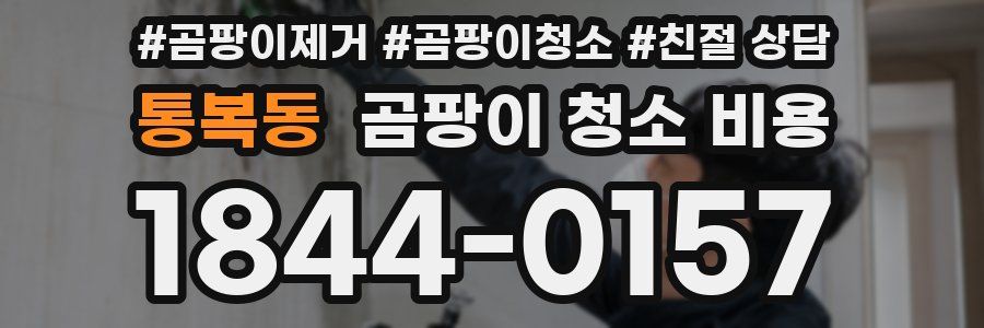 통복동 곰팡이 청소 비용