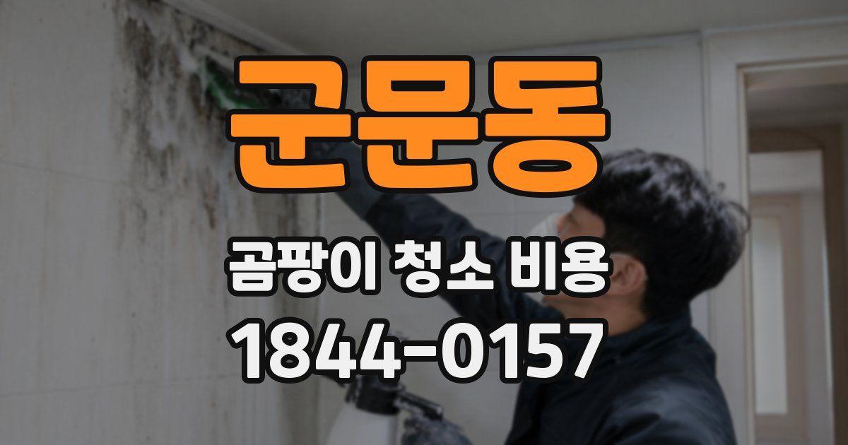 군문동 곰팡이 청소 비용