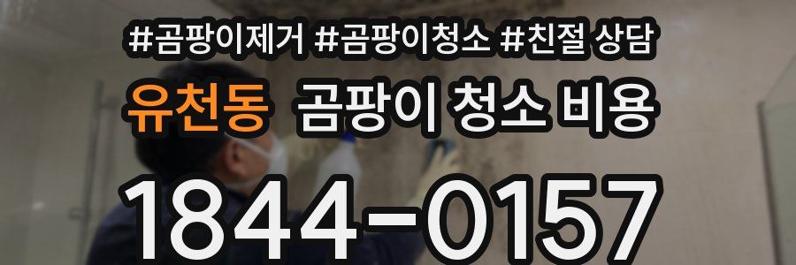 유천동 곰팡이 청소 비용