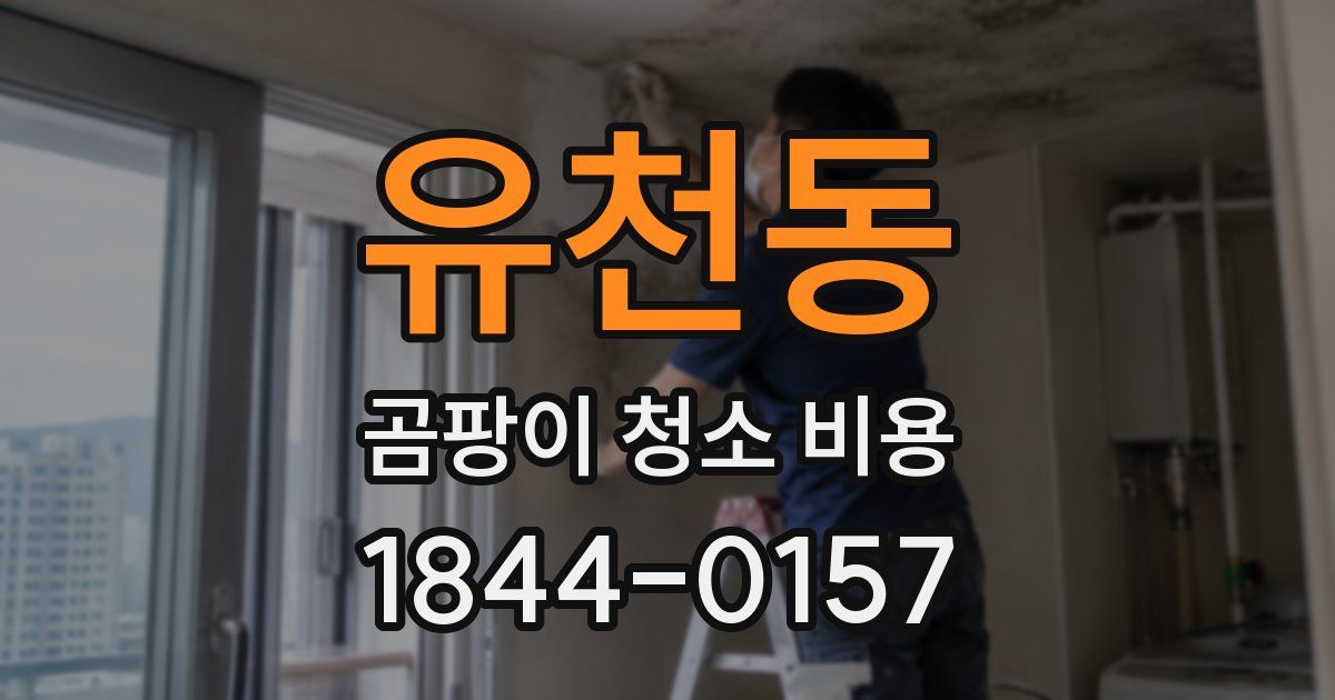 유천동 곰팡이 청소 비용