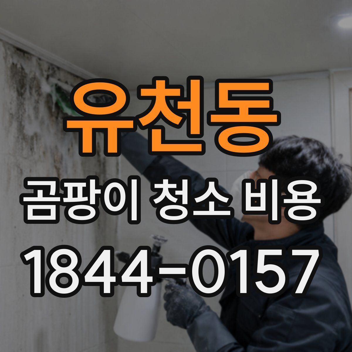 유천동 곰팡이 청소 비용