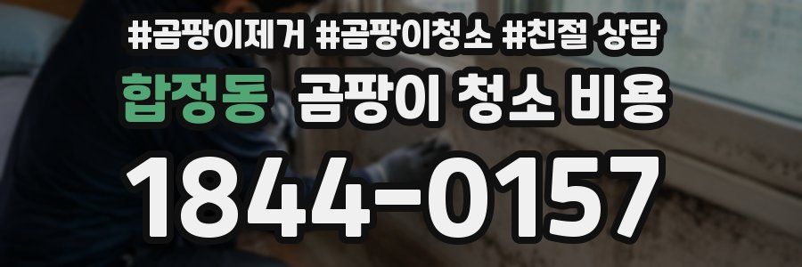 합정동 곰팡이 청소 비용