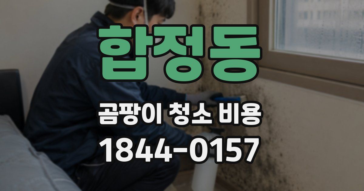 합정동 곰팡이 청소 비용