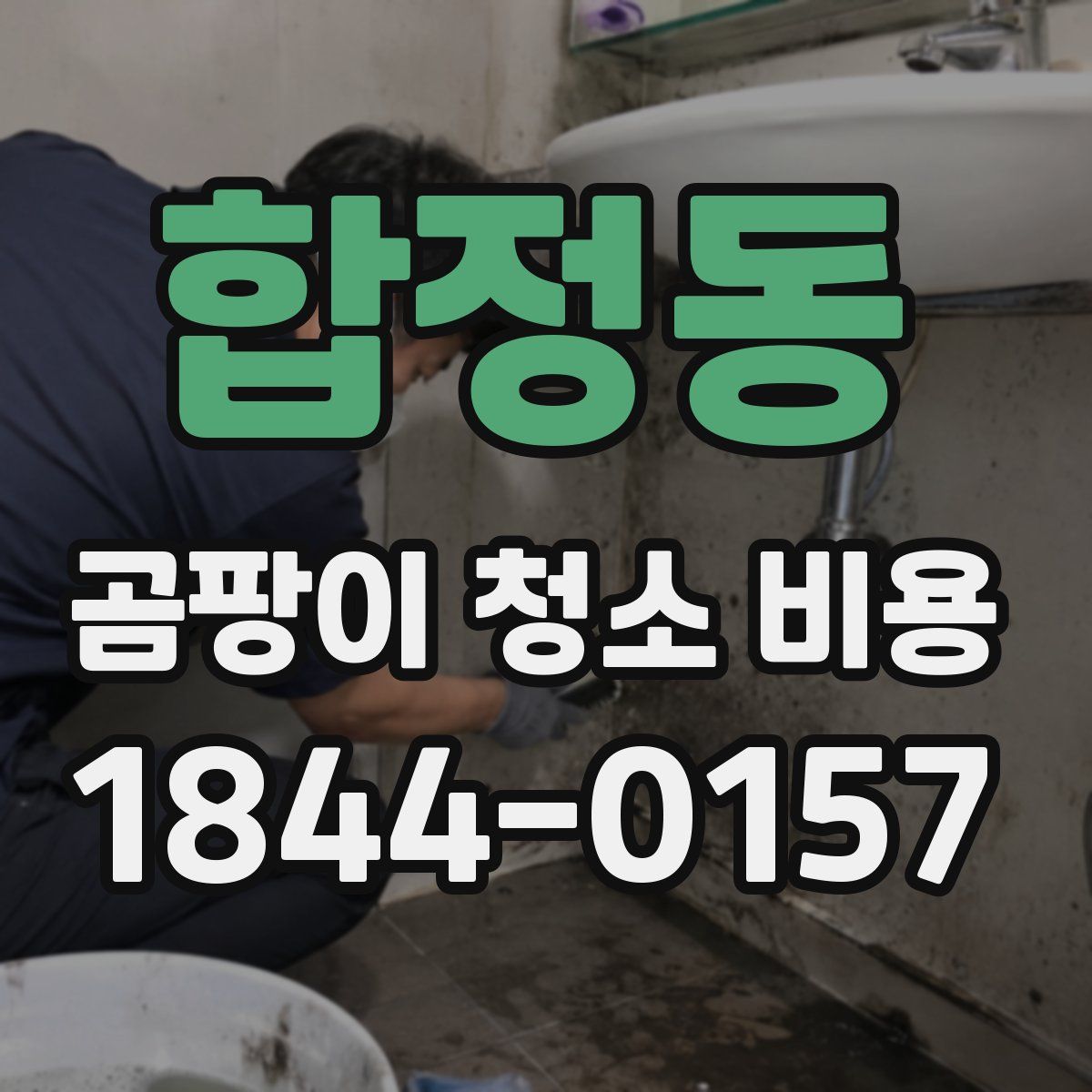 합정동 곰팡이 청소 비용