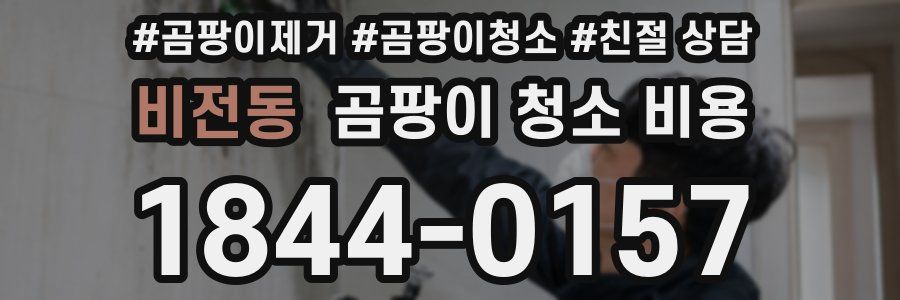 비전동 곰팡이 청소 비용