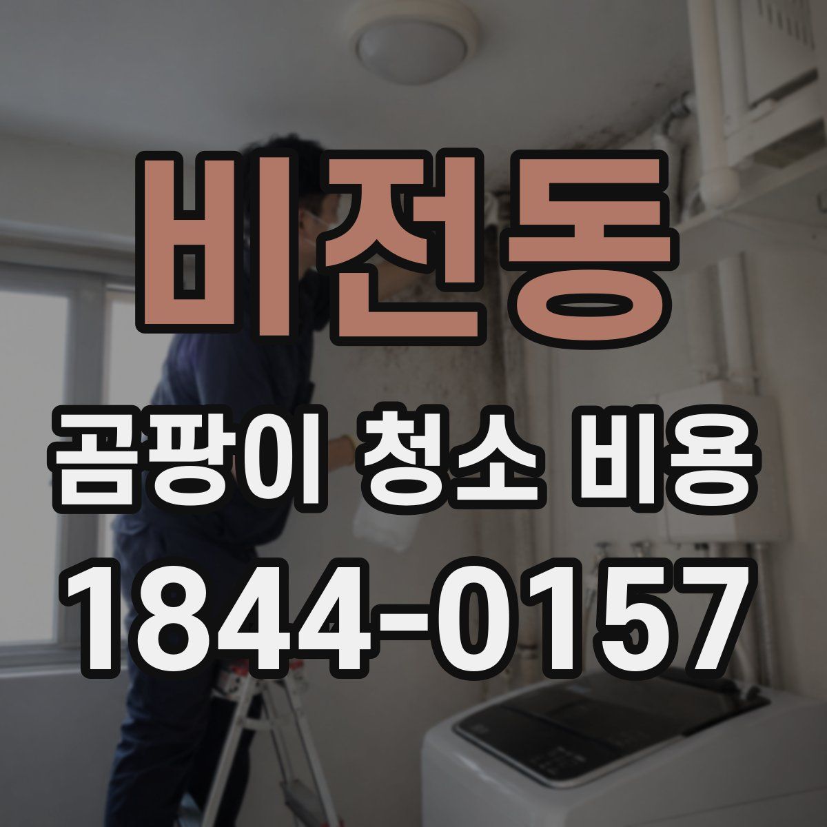 비전동 곰팡이 청소 비용