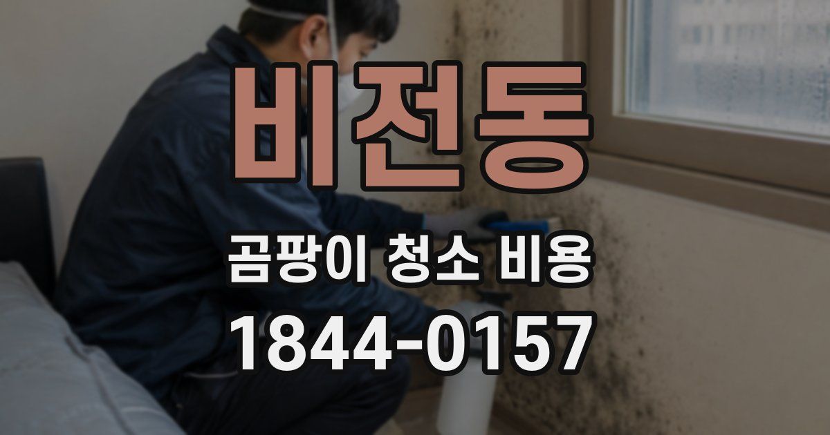 비전동 곰팡이 청소 비용