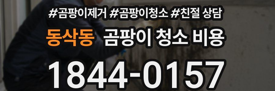 동삭동 곰팡이 청소 비용