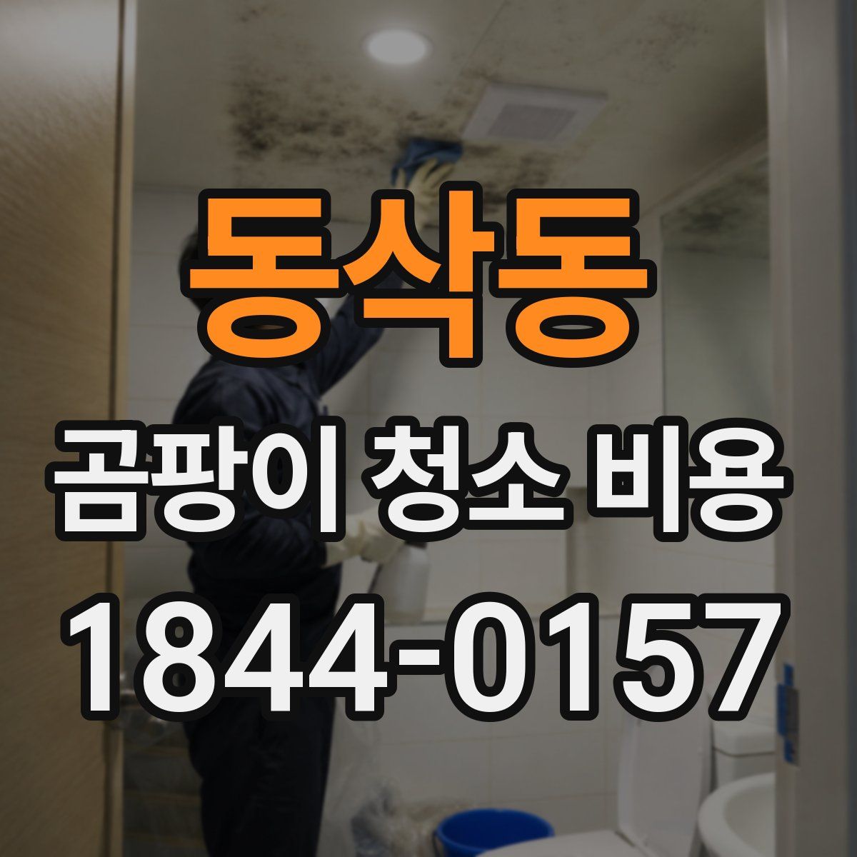 동삭동 곰팡이 청소 비용