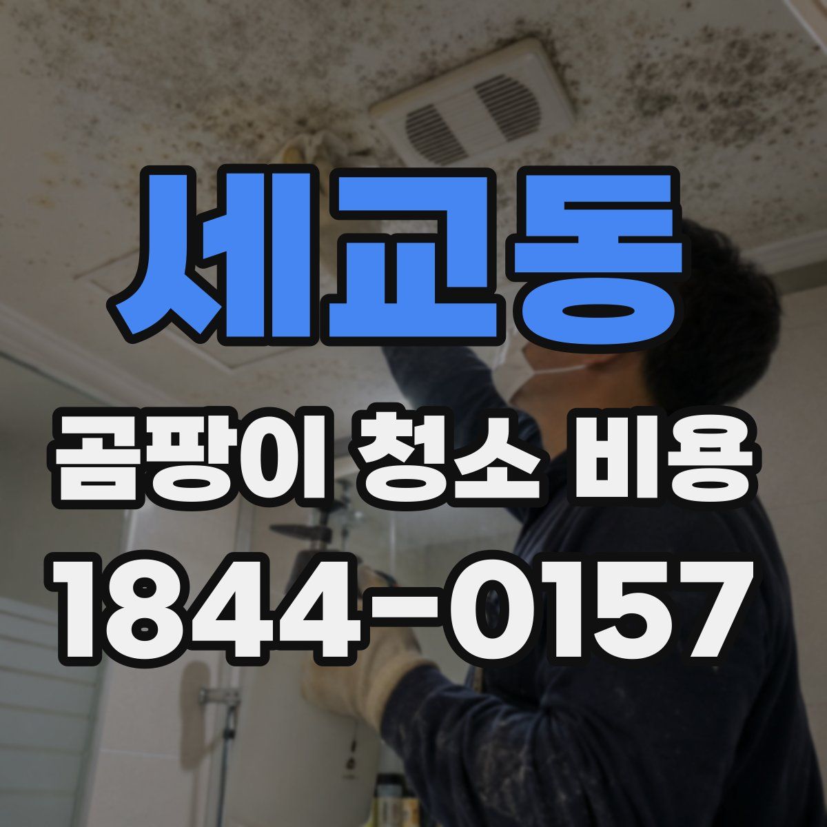 세교동 곰팡이 청소 비용