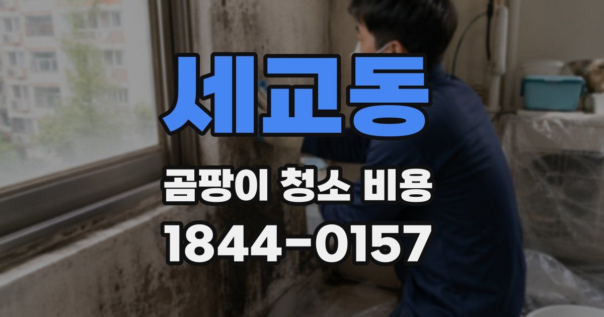 세교동 곰팡이 청소 비용