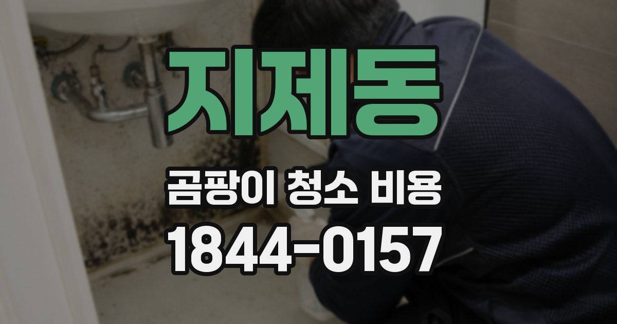 지제동 곰팡이 청소 비용