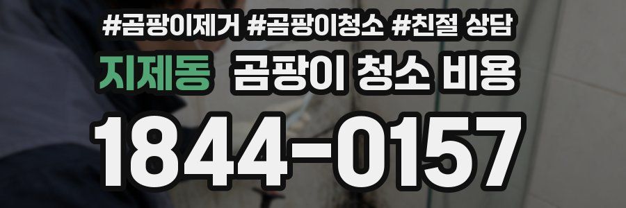지제동 곰팡이 청소 비용