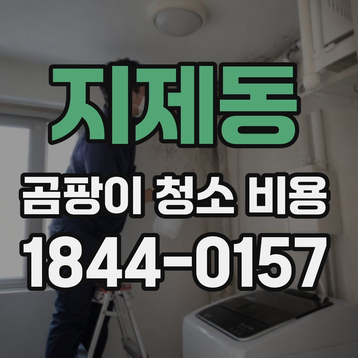 지제동 곰팡이 청소 비용